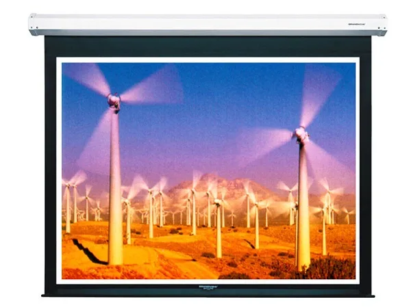 Màn chiếu điện Dalite P96ES ( 2m44x2m44 )
