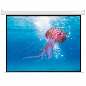 Màn chiếu treo 96/ 2m44x2m44