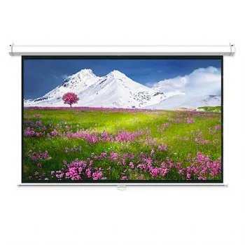 Màn chiếu điện Dalite P84ES (2.13x2.13met)