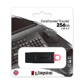 USB Kingston 256GB USB3.2