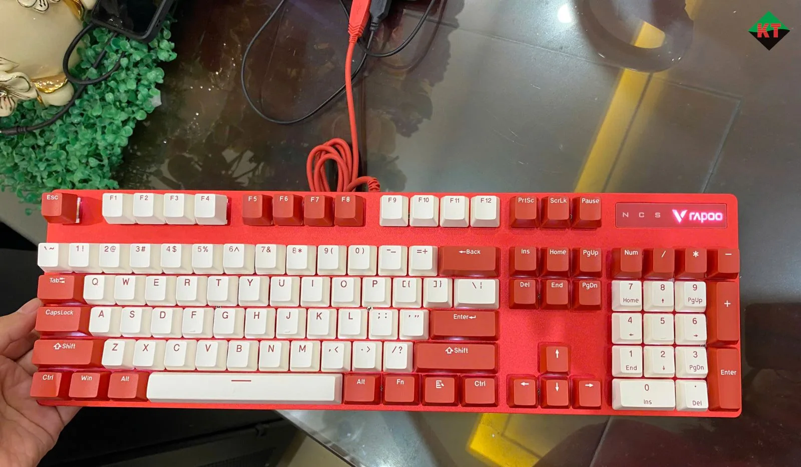 Bàn Phím Cơ Gaming Rapoo V500 Pro (Bản Đỏ - Trắng)
