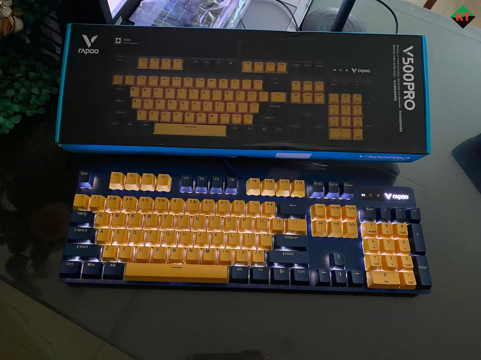 Bàn Phím Cơ Gaming Rapoo V500 Pro (Bản Vàng - Xanh)