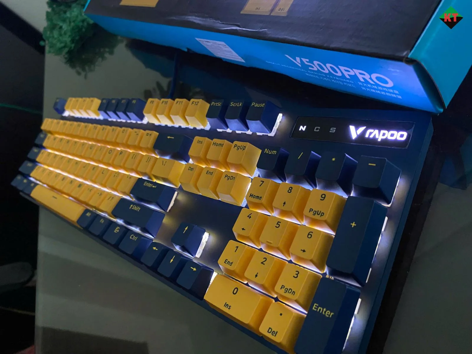 Bàn Phím Cơ Gaming Rapoo V500 Pro (Bản Vàng - Xanh)