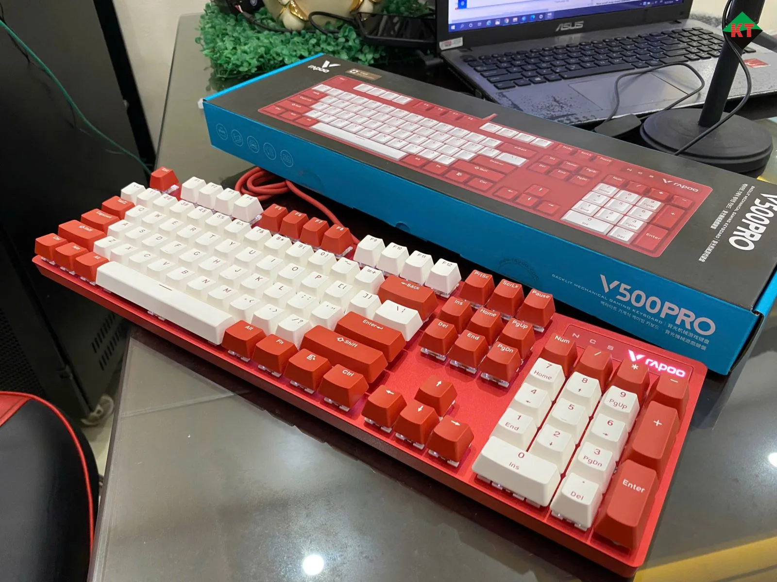 Bàn Phím Cơ Gaming Rapoo V500 Pro (Bản Đỏ - Trắng)