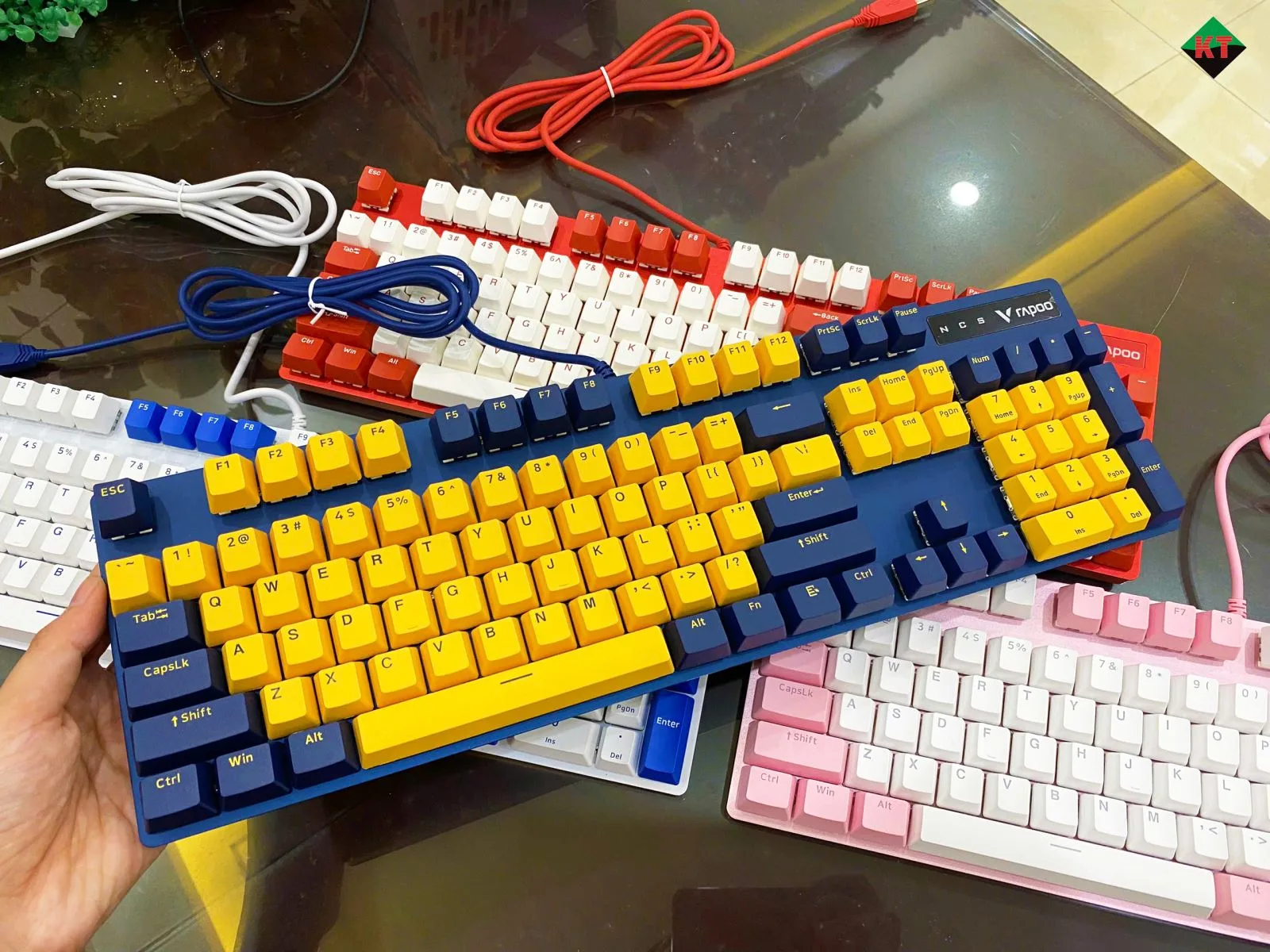 Bàn Phím Cơ Gaming Rapoo V500 Pro (Bản Vàng - Xanh)