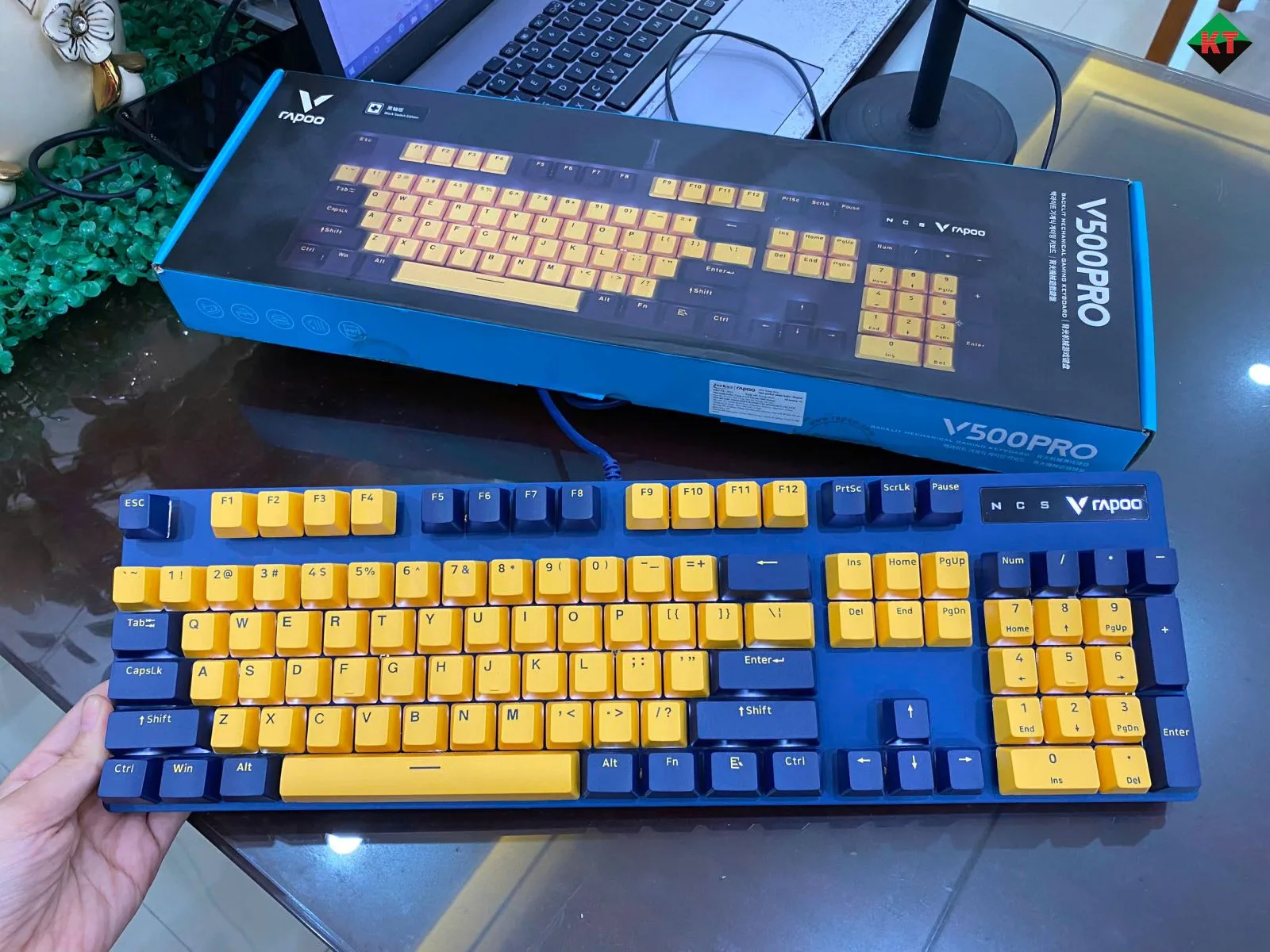 Bàn Phím Cơ Gaming Rapoo V500 Pro (Bản Vàng - Xanh)