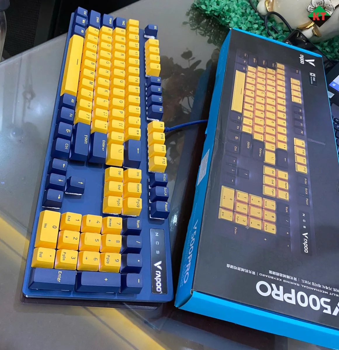Bàn Phím Cơ Gaming Rapoo V500 Pro (Bản Vàng - Xanh)